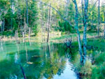 Joliceur Creek