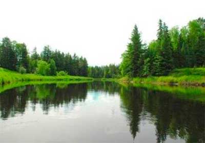 Lakes and Streams