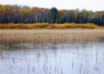 Deadfish Lake